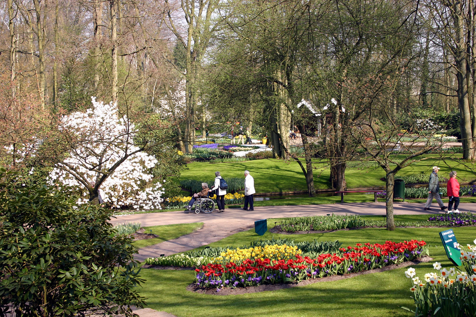 Keukenhof, Lisse